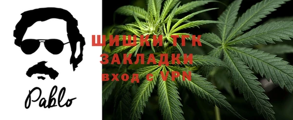 СК Абинск